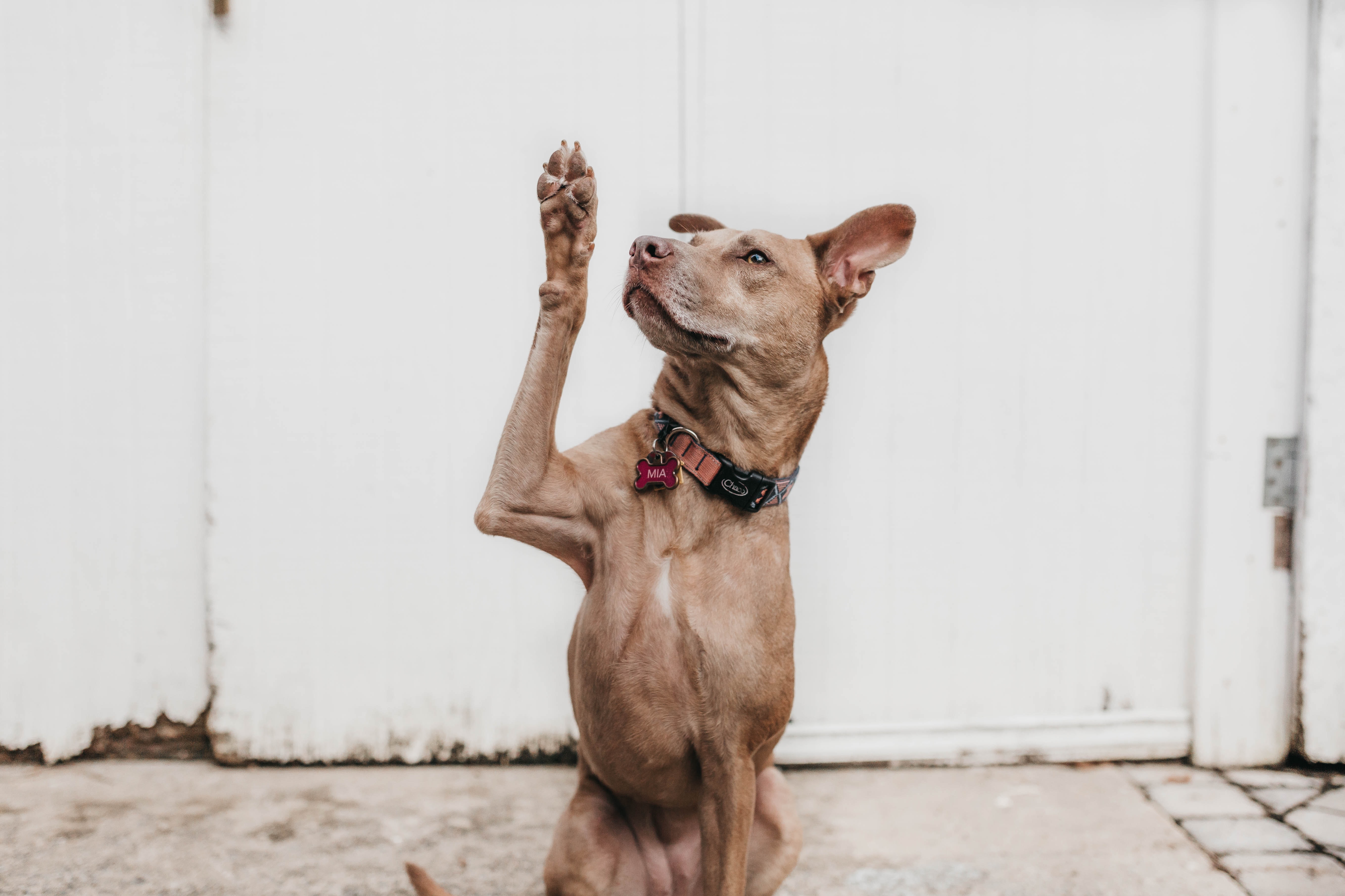 Via  Camylla Battani on unsplash