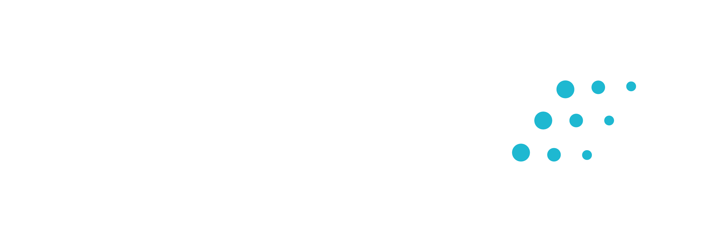 Nobl9 logo